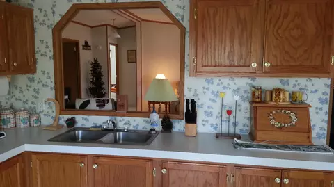 15544 Lakeview Dr, Wolverine, MI 49799 photo 10