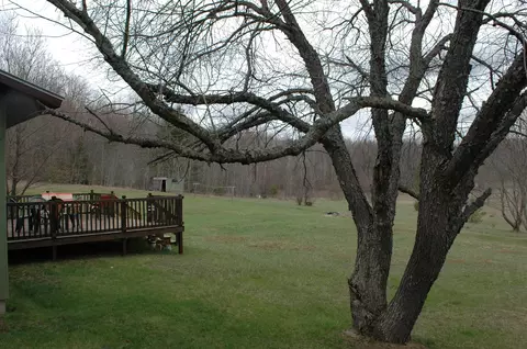 12292 Shire Rd, Wolverine, MI 49799 photo 21