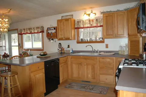 12292 Shire Rd, Wolverine, MI 49799 photo 14