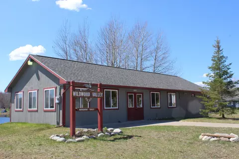 15289 Valley Dr, Wolverine, MI 49799 photo 35