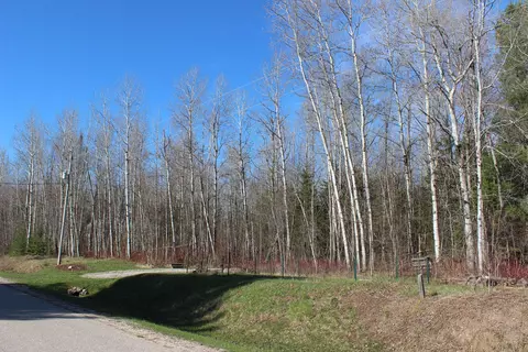 15289 Valley Dr, Wolverine, MI 49799 photo 33