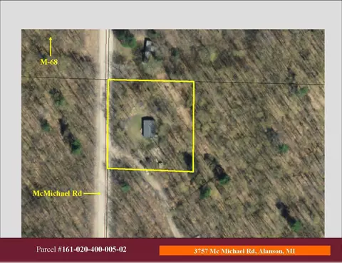 3753 Mcmichael Rd, Alanson, MI 49706 photo 23
