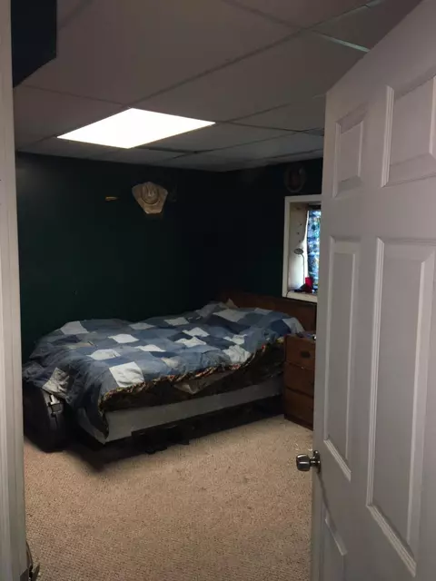 1033 Red School Rd, Pellston, MI 49769 photo 10