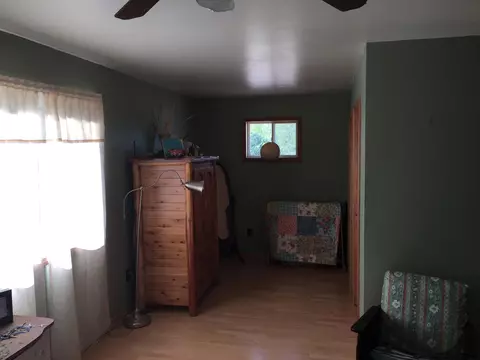 1033 Red School Rd, Pellston, MI 49769 photo 6