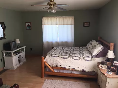 1033 Red School Rd, Pellston, MI 49769 photo 9