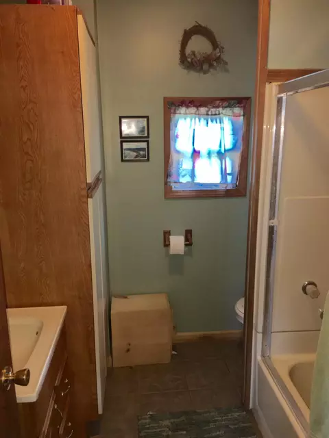 1033 Red School Rd, Pellston, MI 49769 photo 11