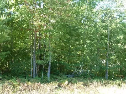 2208 Sommerset Dr #LOT 11, Alpena, MI 49707