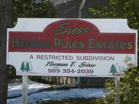 2991 Noralin Dr #LOT 1, Alpena, MI 49707