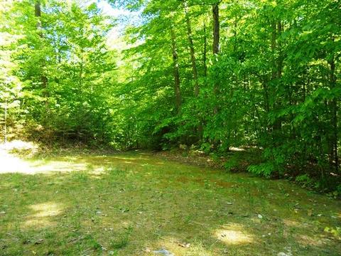 3141 N Abbe Rd, Comins, MI 48619 photo 17
