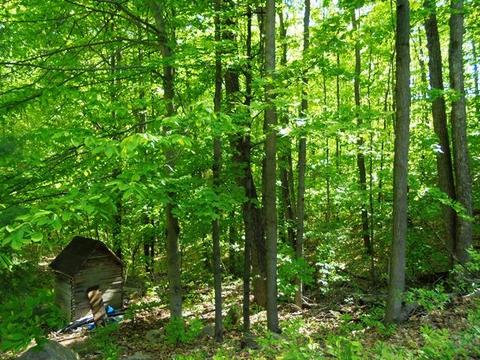 3141 N Abbe Rd, Comins, MI 48619 photo 2