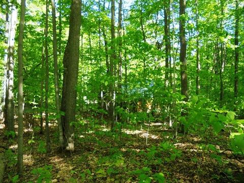 3141 N Abbe Rd, Comins, MI 48619 photo 18
