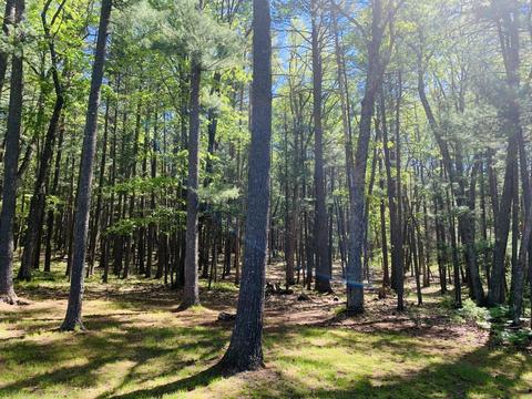 6547 Overhill Dr, Roscommon, MI 48653 photo 37