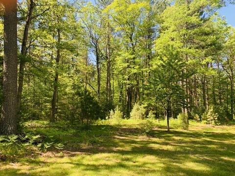 6547 Overhill Dr, Roscommon, MI 48653 photo 34