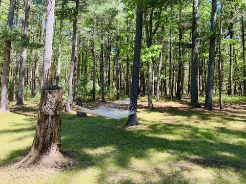 6547 Overhill Dr, Roscommon, MI 48653 photo 40