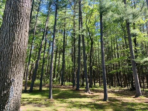 6547 Overhill Dr, Roscommon, MI 48653 photo 36