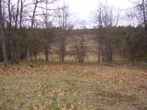 1150 Summit Dr, Mio, MI 48647 photo 16