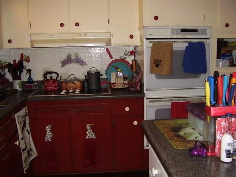 1150 Summit Dr, Mio, MI 48647 photo 9