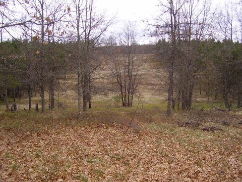 1150 Summit Dr, Mio, MI 48647 photo 17