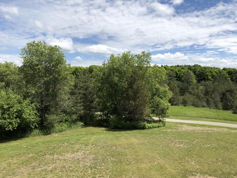 17672 Otsego Rd, Vanderbilt, MI 49795 photo 3