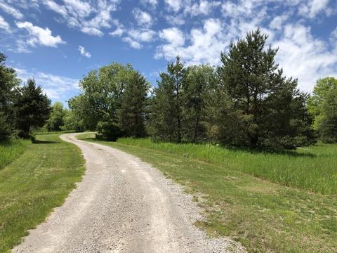17672 Otsego Rd, Vanderbilt, MI 49795 photo 34