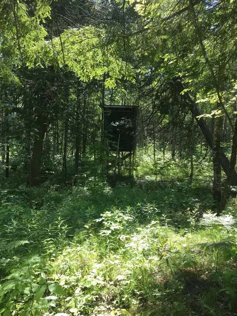 15259 Cook Rd, Lachine, MI 49753 photo 57