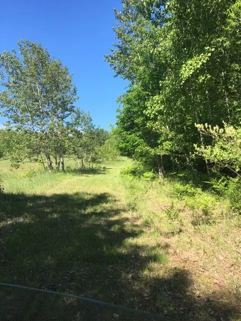 15259 Cook Rd, Lachine, MI 49753 photo 55