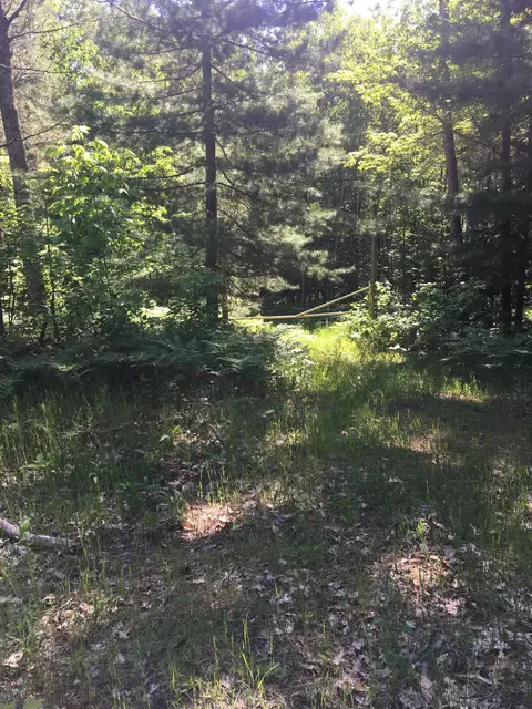 15259 Cook Rd, Lachine, MI 49753 photo 59