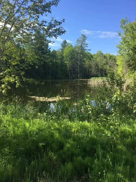 15259 Cook Rd, Lachine, MI 49753 photo 50