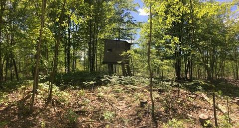 18885 Mcintire Rd, Comins, MI 48619 photo 8
