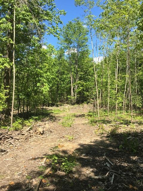 18885 Mcintire Rd, Comins, MI 48619 photo 30
