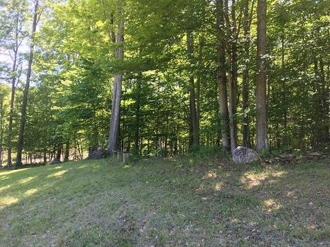 18885 Mcintire Rd, Comins, MI 48619 photo 27