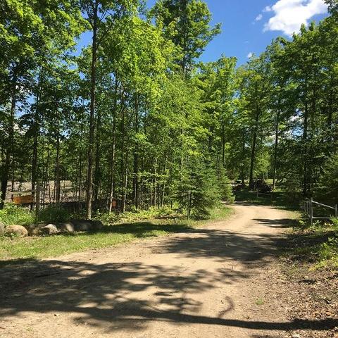 18885 Mcintire Rd, Comins, MI 48619 photo 12
