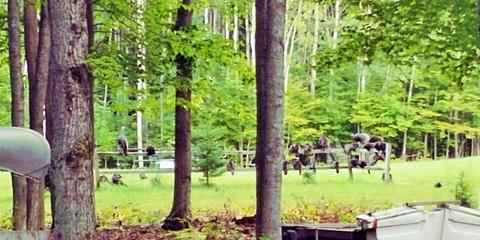 18885 Mcintire Rd, Comins, MI 48619 photo 20