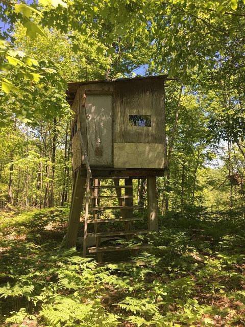 18885 Mcintire Rd, Comins, MI 48619 photo 7
