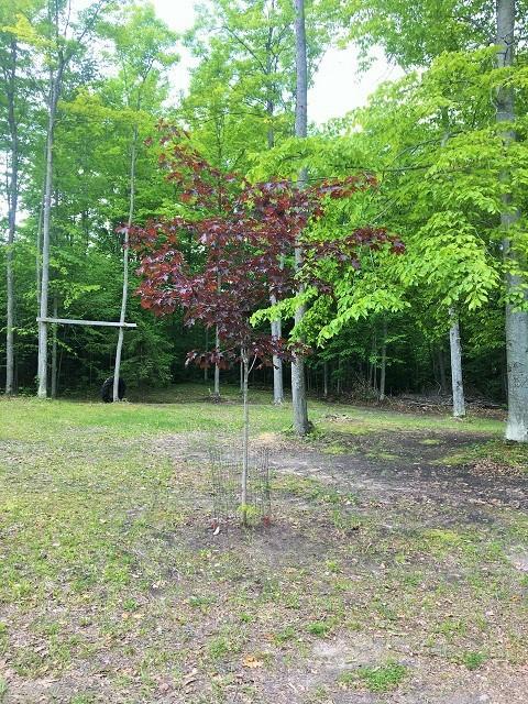 18885 Mcintire Rd, Comins, MI 48619 photo 16