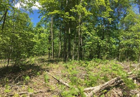 18885 Mcintire Rd, Comins, MI 48619 photo 29