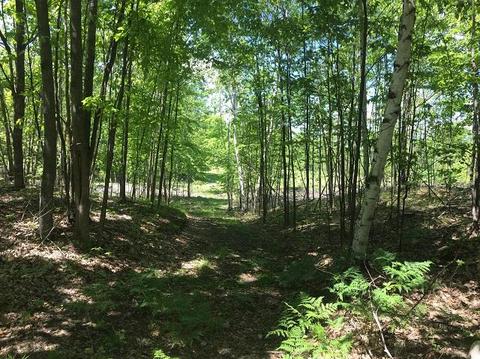 18885 Mcintire Rd, Comins, MI 48619 photo 11