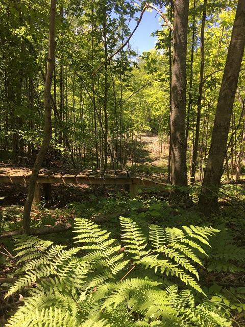 18885 Mcintire Rd, Comins, MI 48619 photo 28