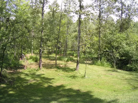 8332 Twin Bridge Rd, Grayling, MI 49738 photo 6