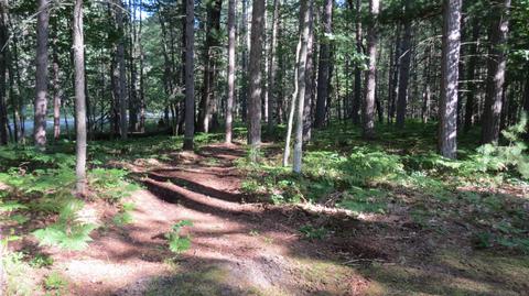 10841 Enchanted Drive Frederic Mi 49733 Dr, Frederic, MI 49733 photo 28