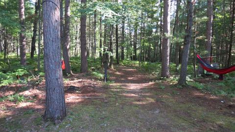 10841 Enchanted Drive Frederic Mi 49733 Dr, Frederic, MI 49733 photo 33