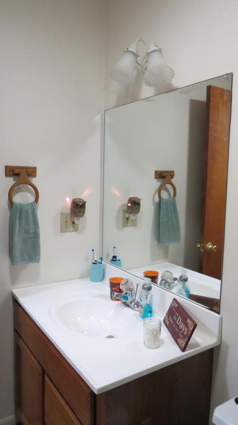 10841 Enchanted Drive Frederic Mi 49733 Dr, Frederic, MI 49733 photo 22