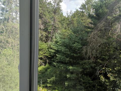 738 Mapes Rd, Luzerne, MI 48636 photo 21