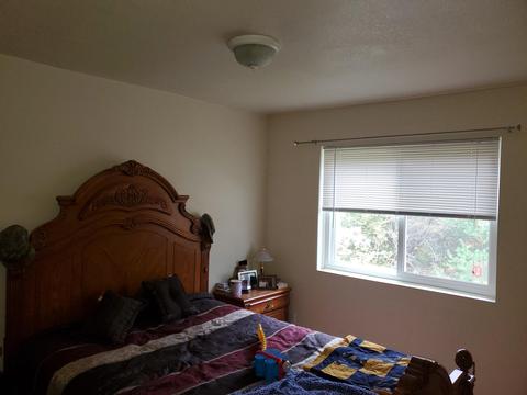 738 Mapes Rd, Luzerne, MI 48636 photo 22