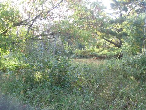 5354 E Alger Smith Rd, Black River, MI 48721 photo 14