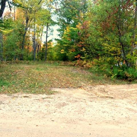 16172 Timber Line Dr, Wolverine, MI 49799 photo 1