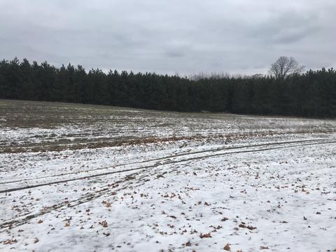 18810 Mcintire Rd, Comins, MI 48619 photo 34