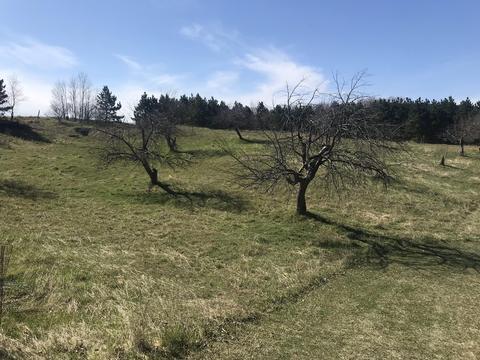 18810 Mcintire Rd, Comins, MI 48619 photo 35