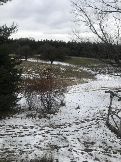 18810 Mcintire Rd, Comins, MI 48619 photo 32
