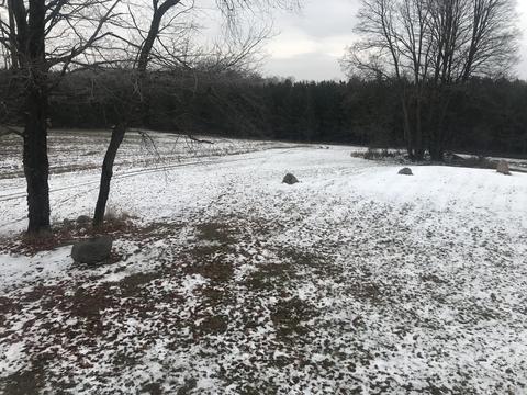 18810 Mcintire Rd, Comins, MI 48619 photo 31